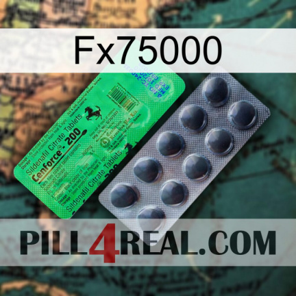 Fx75000 new04